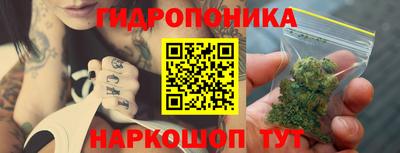 индика Кумертау