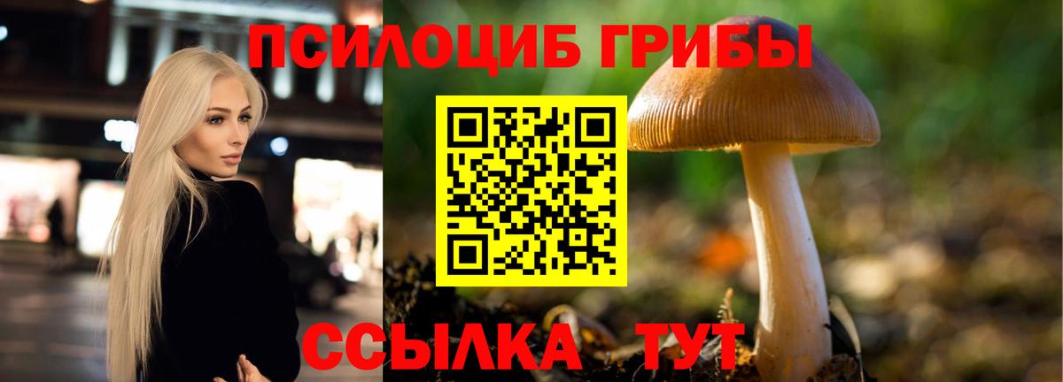 Галлюциногенные грибы ЛСД Керчь